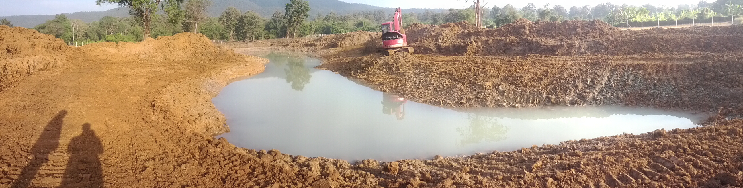 Converting a swamp like area into natural permaculture like pond Page 2