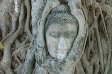 Ayutthaya Wat Mahathat