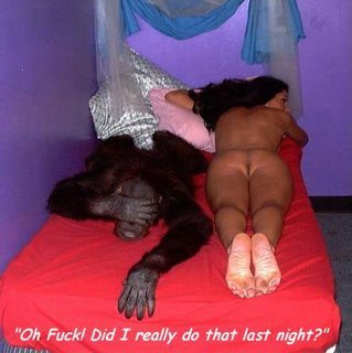 monkey-sex%5B1%5D.jpg