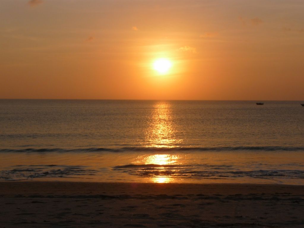 Dating bali expats