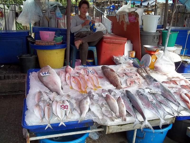 A visit to the naklua fish market.