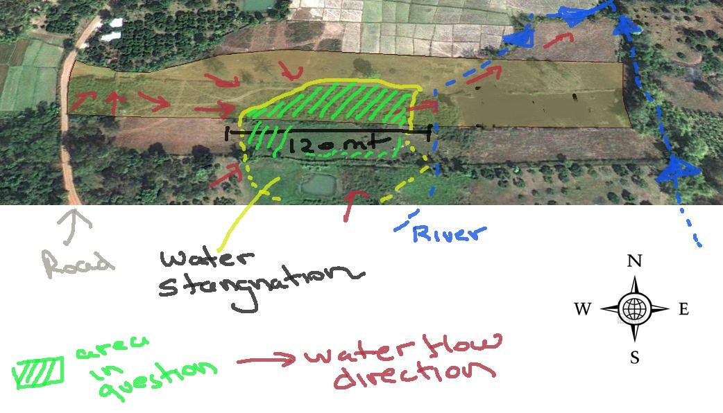 Converting a swamp like area into natural permaculture like pond