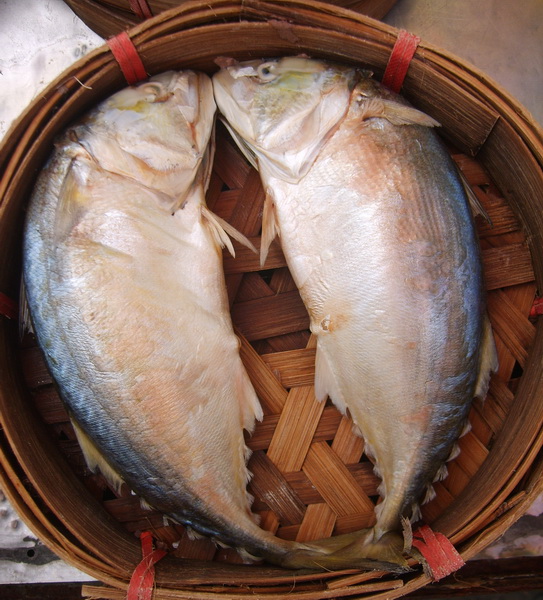 Pla Too Mackerel