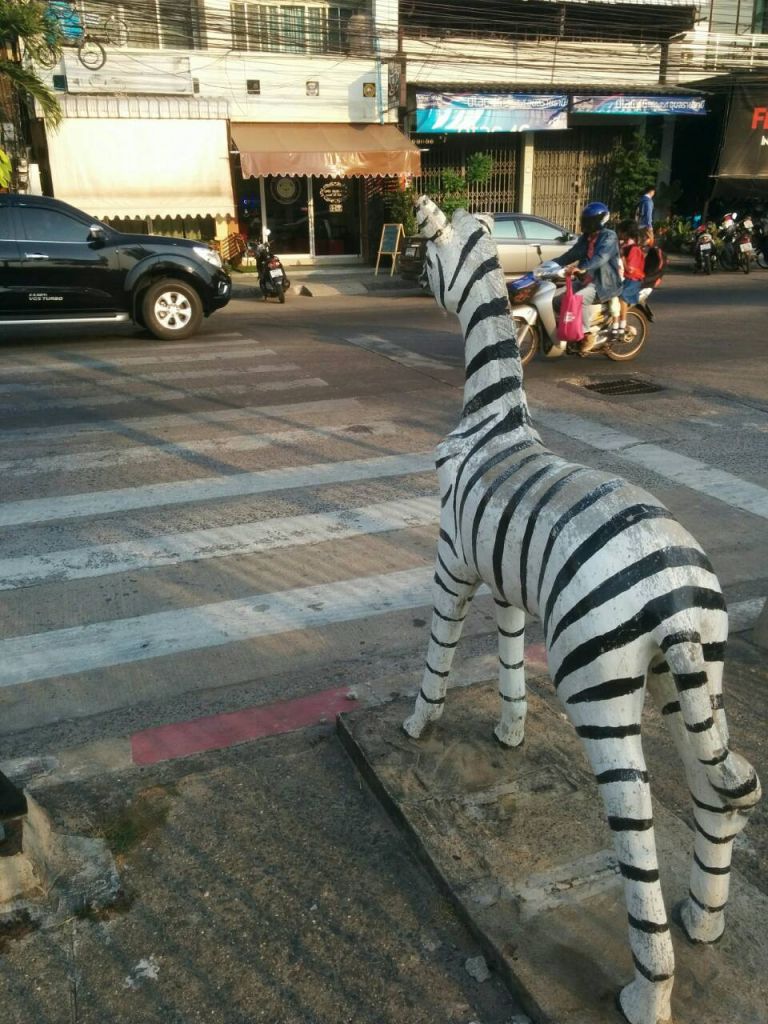 Zebra crossings. A waste of good paint?