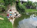 pond115