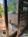 01window2 (2)