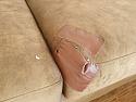 01chewsofa2