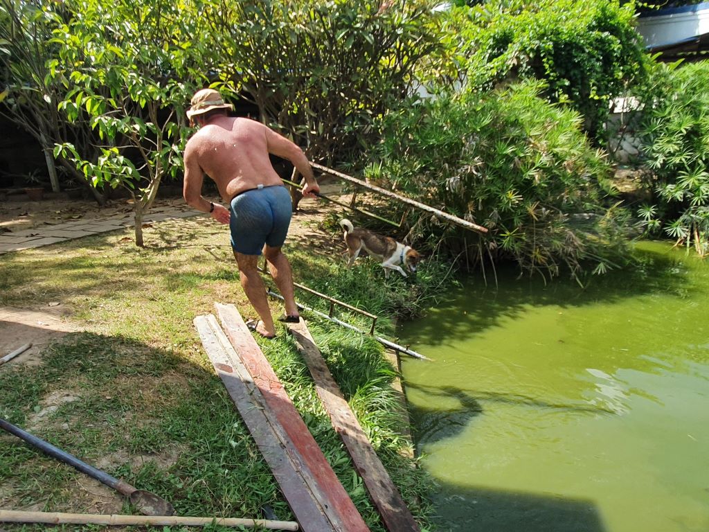 pond587