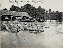 1927 ping river teak logging cm