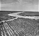 1946 coconut groves samut songkram ban prok