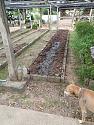 Isaanday276 (2)