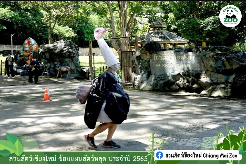Chiang Mai Zoo carries out annual drill-untitled-jpg