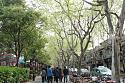 French Concession in Shanghai-img_5447-jpg