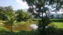 Baanpong House Build-pond01-jpg