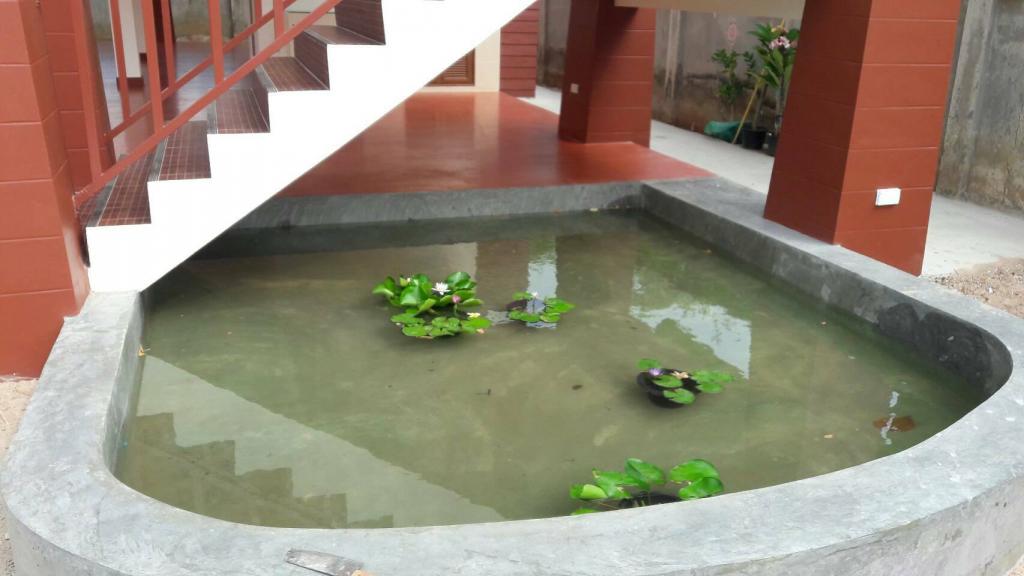 Building our Retirement Home in Nan Province-koi-pond-jpg