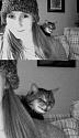 Amusing Pictures ripped from the Net-animal-photobombs-12-jpg