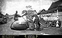 Siam, Thailand &amp; Bangkok Old Photo Thread-1866-war_elephant_of_siam-_1866-_wellcome_l0056623-jpg