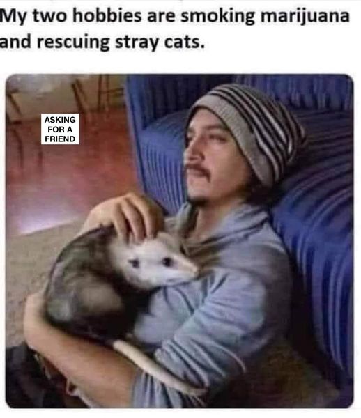 Amusing Pictures ripped from the Net-six-jpg
