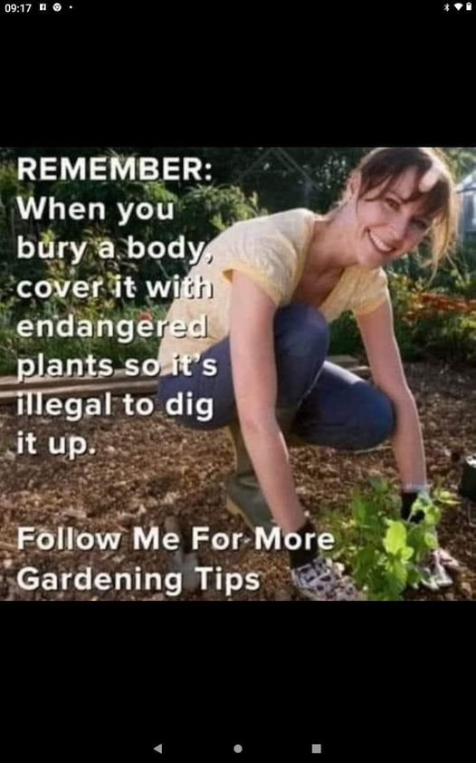 Amusing Pictures ripped from the Net-seven-jpg
