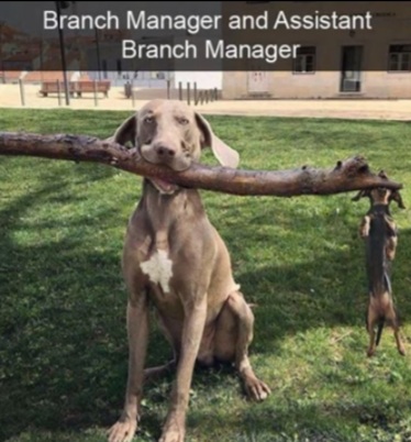 Amusing Pictures ripped from the Net-branch-mngr-jpg