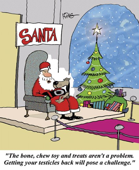 Amusing Pictures ripped from the Net-twelve-jpg