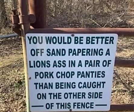 Amusing Pictures ripped from the Net-seventeen-jpg