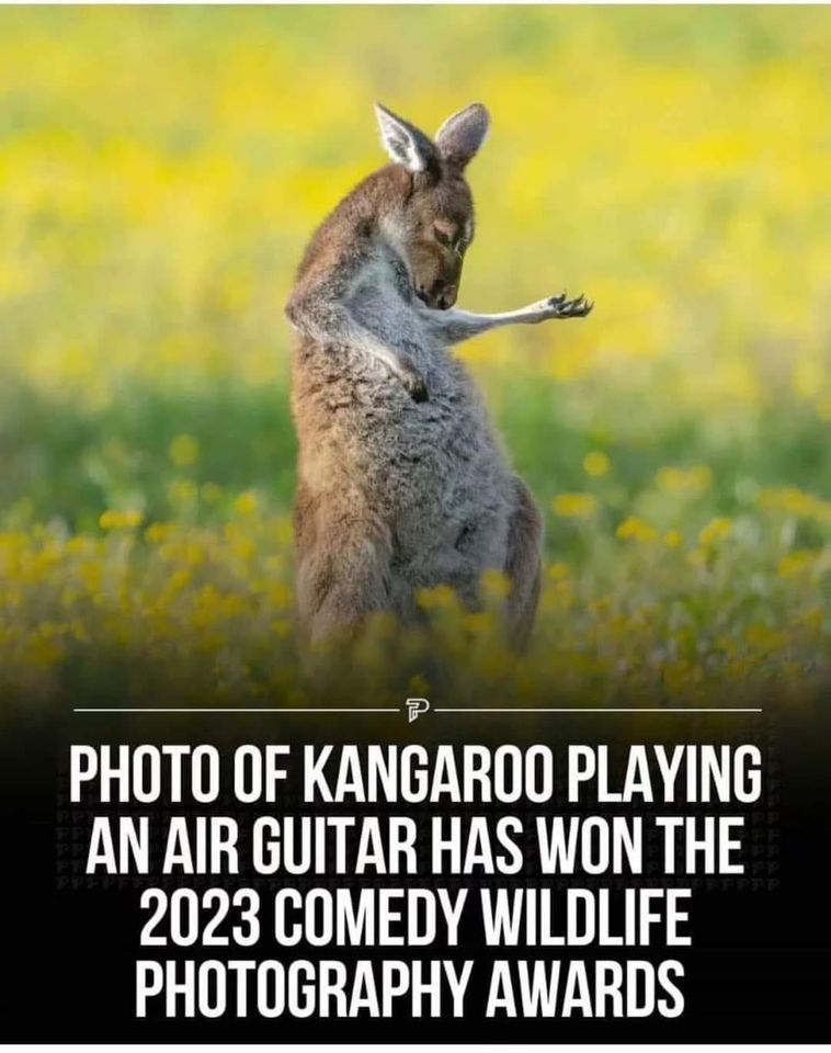 Amusing Pictures ripped from the Net-two-jpg