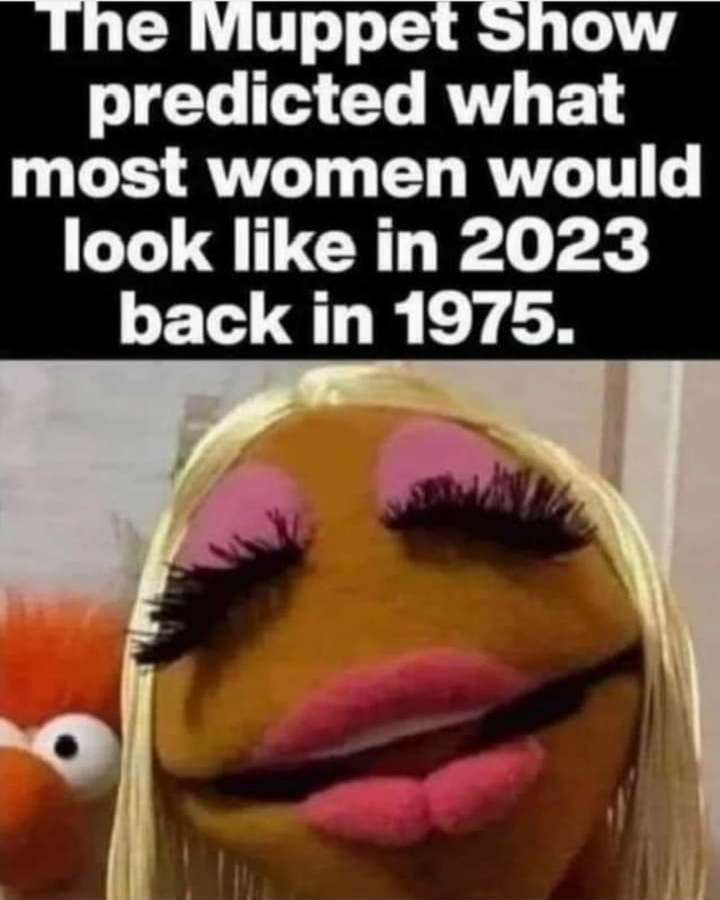Amusing Pictures ripped from the Net-seven-jpg