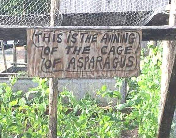 Amusing Pictures ripped from the Net-13892062_10153977099893640_7568850803146427159_n-jpg