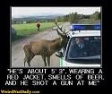 Amusing Pictures ripped from the Net-images-jpg