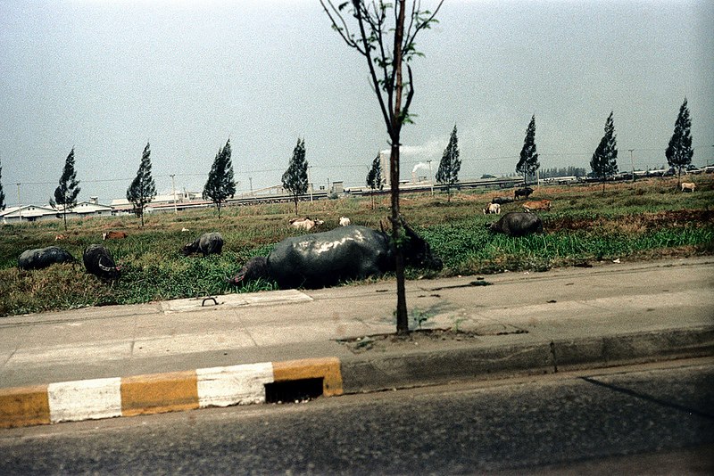 Siam, Thailand &amp; Bangkok Old Photo Thread-phaholyothin-road-opposite-mo-chit-station