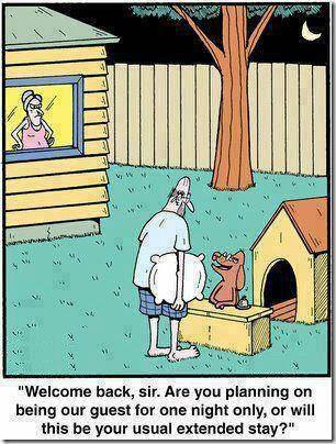 Amusing Pictures ripped from the Net-doghouse-jpg