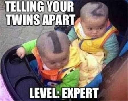 Amusing Pictures ripped from the Net-twins-jpg