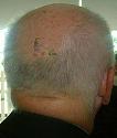 Amusing Pictures ripped from the Net-trim-jpg