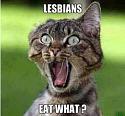 Amusing Pictures ripped from the Net-lesbians-jpg