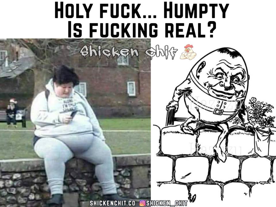 Amusing Pictures ripped from the Net-humpty-jpg