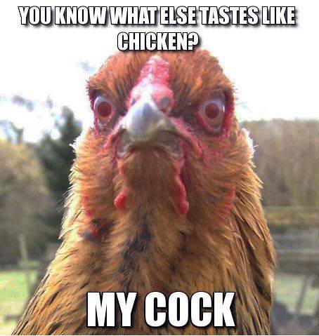 Amusing Pictures ripped from the Net-my-cock-jpg