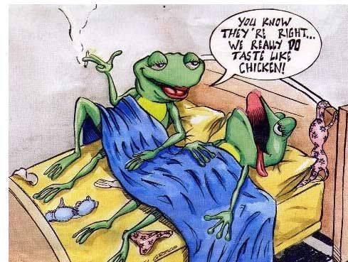 Amusing Pictures ripped from the Net-frog-jpg