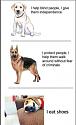 Amusing Pictures ripped from the Net-shoes-jpg