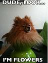Amusing Pictures ripped from the Net-dude-look-jpg