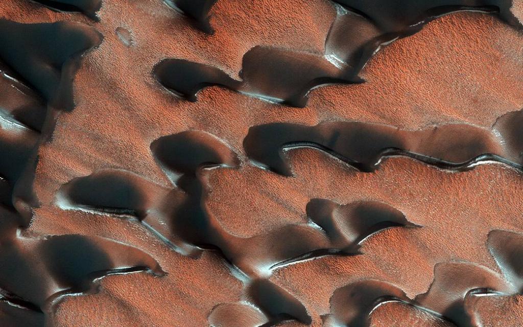 Amazing picture thread-pia22511-jpg