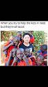 Amusing Pictures ripped from the Net-img_3902-jpg