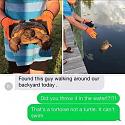 Amusing Pictures ripped from the Net-tortle-jpg