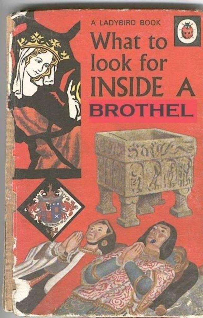Amusing Pictures ripped from the Net-ladybird-07-jpg