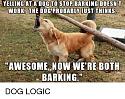 Amusing Pictures ripped from the Net-zllllllllllll-jpeg