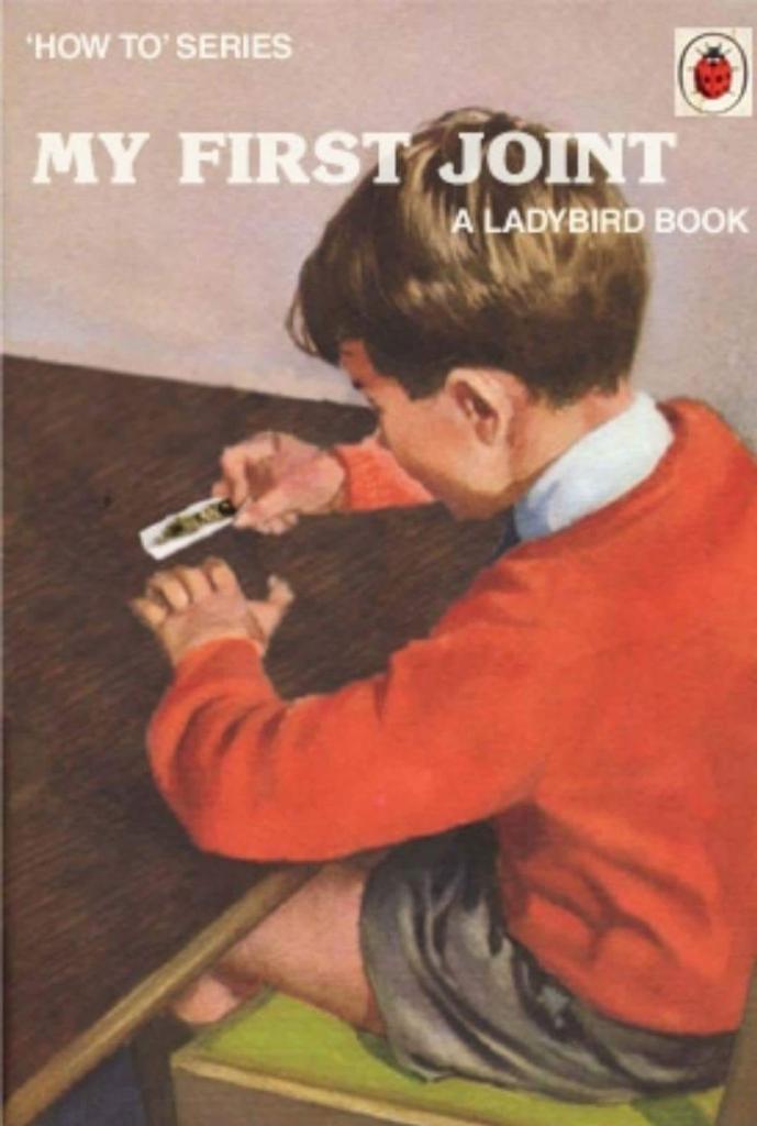 Amusing Pictures ripped from the Net-ladybird-08-jpg