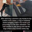 Amusing Pictures ripped from the Net-dof-customer-jpg