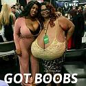 Amusing Pictures ripped from the Net-boobs-jpg
