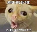 Amusing Pictures ripped from the Net-titty-jpg