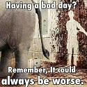 Amusing Pictures ripped from the Net-wrongplace-jpg